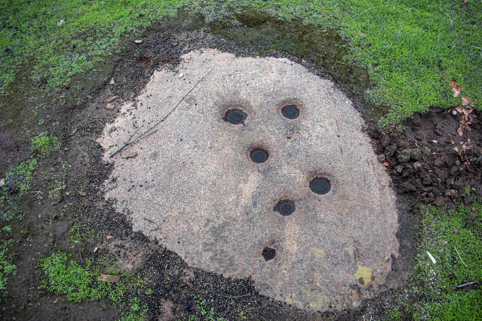 CMN confirma inclusión de las piedras tacitas de El Copao en su registro de monumentos arqueológicos